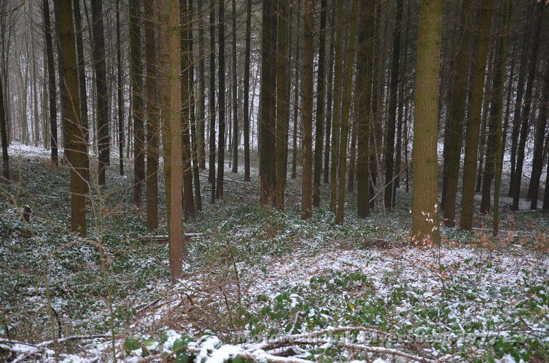 Wandertag 2017 - 040.JPG